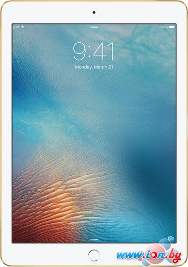 Планшет Apple iPad Pro 9.7 256GB Gold в Витебске