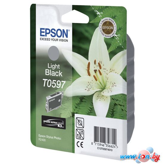 Картридж для принтера Epson C13T05974010 в Могилёве