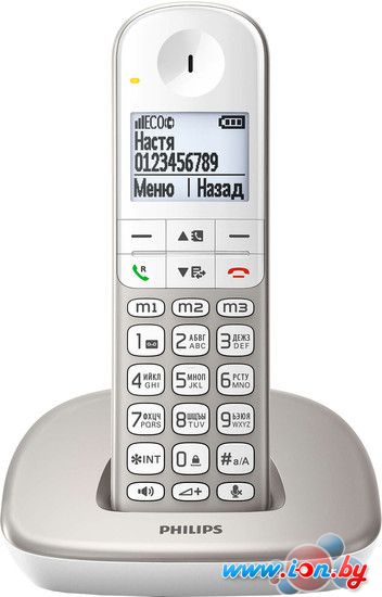 Радиотелефон Philips XL4901S/51 в Могилёве