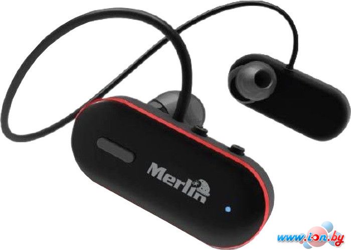 Наушники с микрофоном Merlin Sports Bluetooth Earphones Black в Могилёве