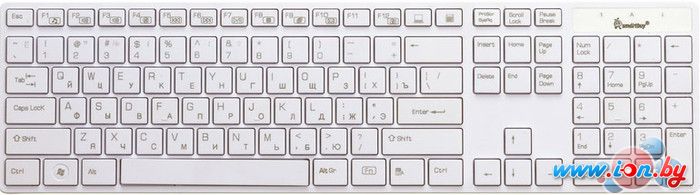Клавиатура SmartBuy 204 USB White (SBK-204US-W) в Гомеле