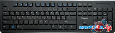 Клавиатура SmartBuy 206 PS/2 Black (SBK-206PS-K) в Могилёве