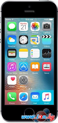 Смартфон Apple iPhone SE 16GB Space Gray в Могилёве