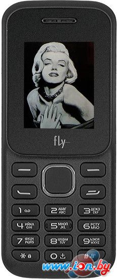 Мобильный телефон Fly FF178 Black в Витебске