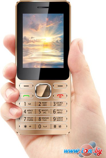Мобильный телефон Vertex D508 Gold в Могилёве