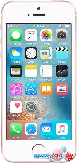 Смартфон Apple iPhone SE 16GB Rose Gold в Могилёве