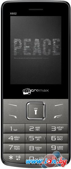 Мобильный телефон Micromax X602 Gray в Могилёве