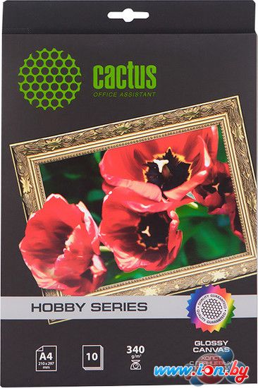 Холст CACTUS Хлопковый холст A4 340 г/кв.м. 10 листов (CS-СGA426010) в Гродно