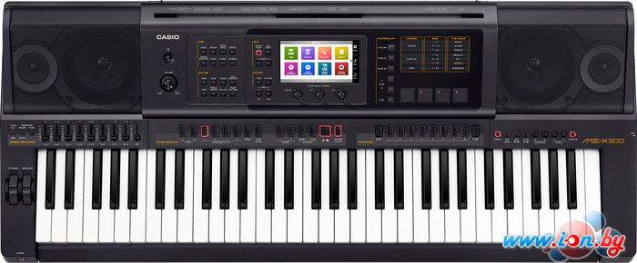 Рабочая станция Casio MZ-X300 в Гомеле