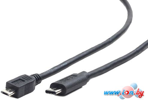 Кабель Gembird CCP-USB2-mBMCM-1M в Бресте