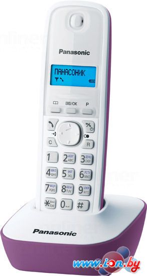 Радиотелефон Panasonic KX-TG1611RUF в Бресте