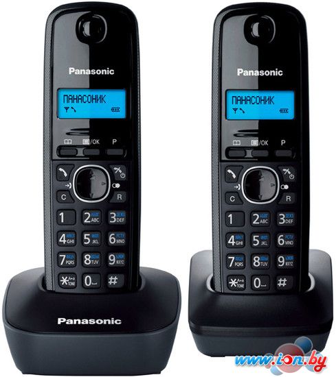 Радиотелефон Panasonic KX-TG1612RUH в Бресте