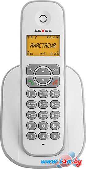 Радиотелефон TeXet TX-D4505A (белый) в Минске