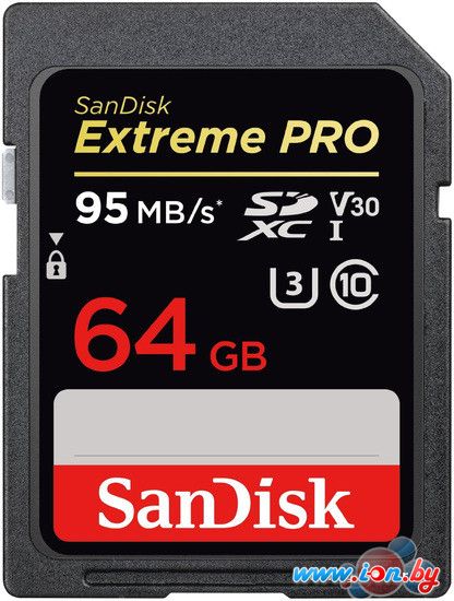 Карта памяти SanDisk Extreme PRO V30 SDXC 64GB [SDSDXXG-064G-GN4IN] в Могилёве