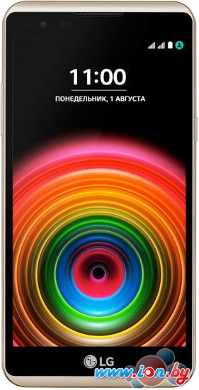 Смартфон LG X Power Gold [K220DS] в Могилёве