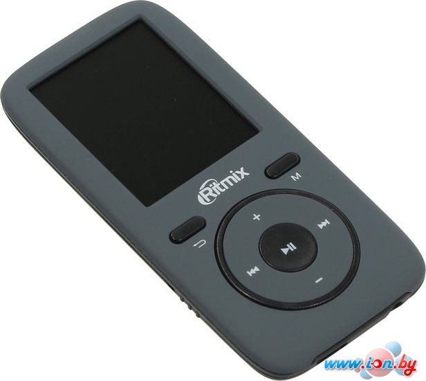 MP3 плеер Ritmix RF-4450 4GB (серый) в Гомеле