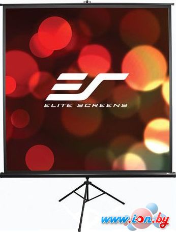 Проекционный экран Elite Screens Tripod 163x211 [T100UWV1] в Гродно