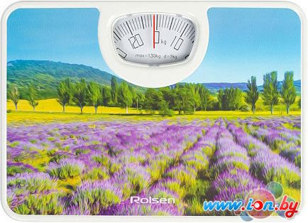 Напольные весы Rolsen RSM1304 Impression в Могилёве