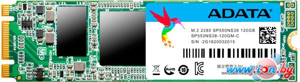 SSD A-Data Premier SP550 120GB [ASP550NS38-120GM-C] в Могилёве