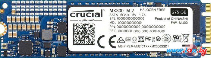 SSD Crucial MX300 275GB [CT275MX300SSD4] в Бресте