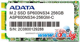 SSD A-Data Premier SP600 M.2 256GB [ASP600NS34-256GM-C] в Могилёве
