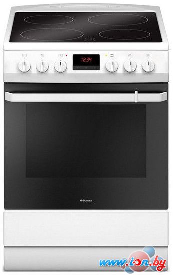 Кухонная плита Hansa FCCW69209 в Могилёве