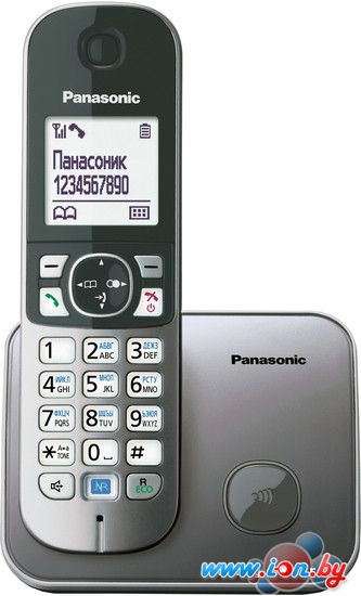 Радиотелефон Panasonic KX-TG6811RUM в Бресте