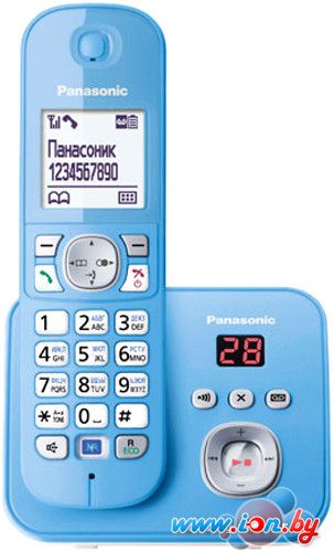 Радиотелефон Panasonic KX-TG6821RUF в Витебске