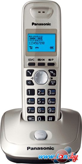 Радиотелефон Panasonic KX-TG2511RUN в Бресте