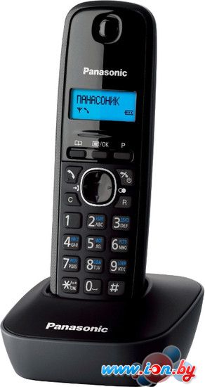 Радиотелефон Panasonic KX-TG1611RUH в Минске