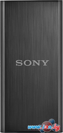 Внешний жесткий диск Sony 256GB [SL-BG2] в Бресте