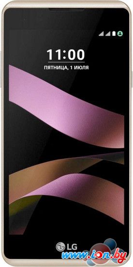 Смартфон LG X Style Gold [K200DS] в Могилёве