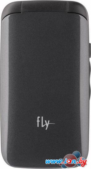 Мобильный телефон Fly Ezzy Trendy 3 Dark Grey в Бресте