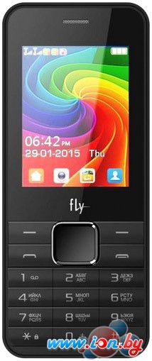 Мобильный телефон Fly FF246 Black в Могилёве