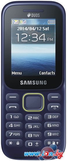 Мобильный телефон Samsung Guru Music 2 Blue [B310E] в Могилёве