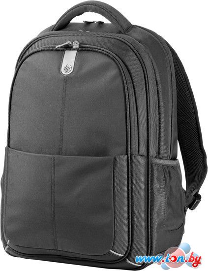Рюкзак для ноутбука HP Professional (H4J93AA) в Бресте