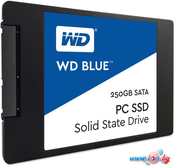 SSD WD Blue 250GB [WDS250G1B0A] в Минске