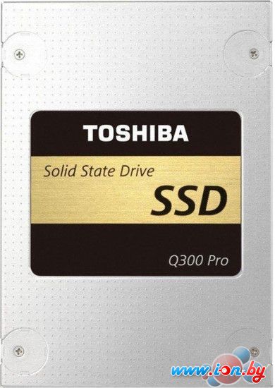 SSD Toshiba Q300 Pro 256GB [HDTSA25EZSTA] в Могилёве