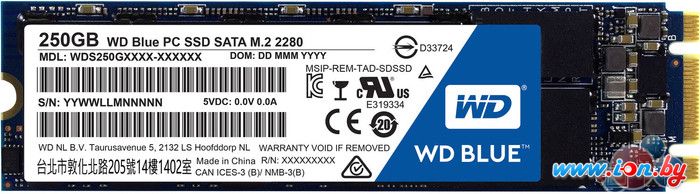 SSD WD Blue M.2 2280 250GB [WDS250G1B0B] в Минске