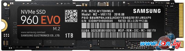 SSD Samsung 960 Evo 1TB [MZ-V6E1T0BW] в Бресте