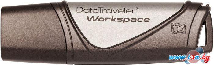 USB Flash Kingston DataTraveler Workspace 64GB (DTWS/64GB) в Могилёве