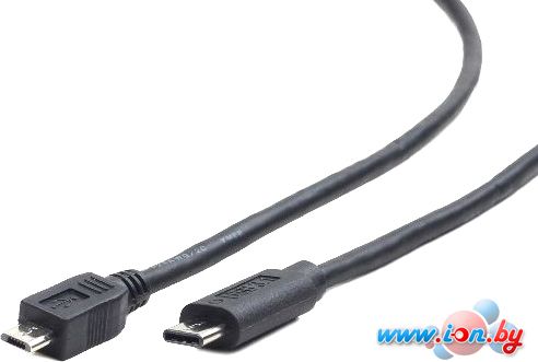 Кабель Gembird CCP-USB2-mBMCM-10 в Могилёве