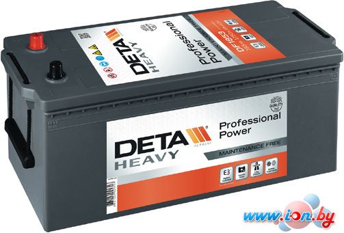 Автомобильный аккумулятор DETA Professional Power DF2353 (235 А·ч) в Гомеле