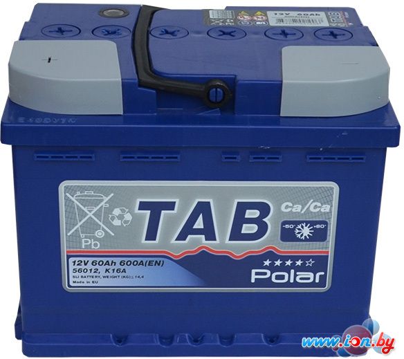 Автомобильный аккумулятор TAB Polar Blue (60 А·ч) (121060) в Гродно