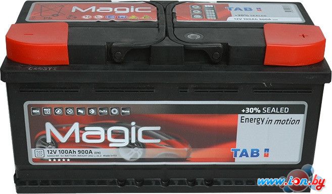 Автомобильный аккумулятор TAB Magic R низкий (100 А·ч) в Гомеле