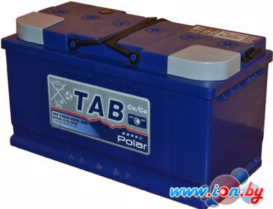 Автомобильный аккумулятор TAB Polar Blue (100 А·ч) (121100) в Гродно