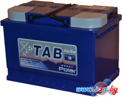 Автомобильный аккумулятор TAB Polar Blue (75 А·ч) (121075) в Гродно