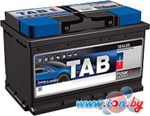 Автомобильный аккумулятор TAB Polar (45 А·ч) [246045] в Гродно