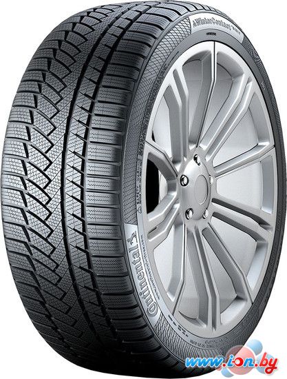 Автомобильные шины Continental WinterContact TS 850 P SUV 245/70R16 107T в Бресте