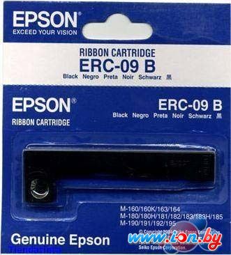 Картридж для принтера Epson C43S015354 в Могилёве